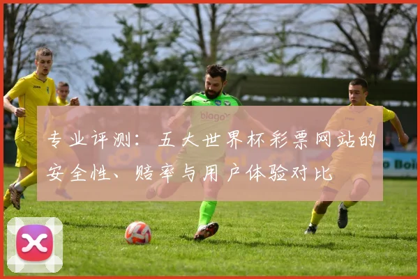 专业评测：五大世界杯彩票网站的安全性、赔率与用户体验对比