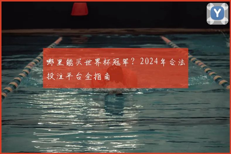 哪里能买世界杯冠军？2024年合法投注平台全指南
