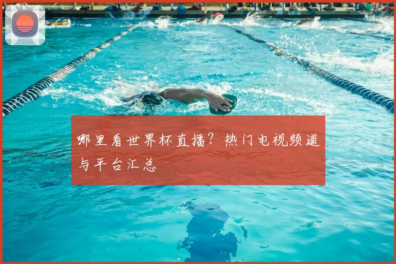 哪里看世界杯直播？热门电视频道与平台汇总