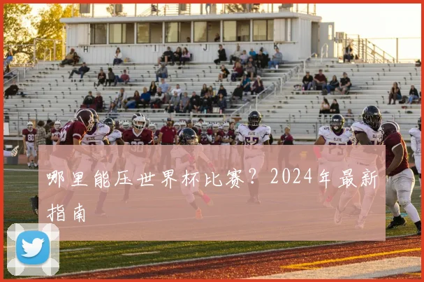 哪里能压世界杯比赛？2024年最新指南