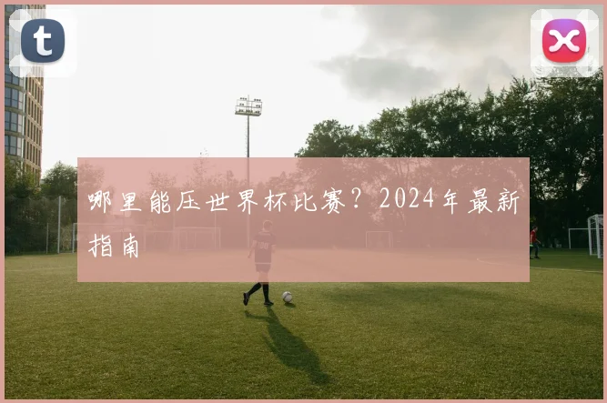 哪里能压世界杯比赛？2024年最新指南