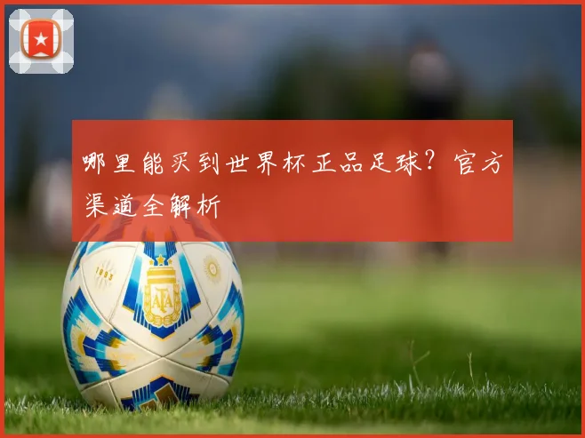 哪里能买到世界杯正品足球？官方渠道全解析