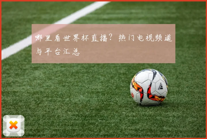 哪里看世界杯直播？热门电视频道与平台汇总