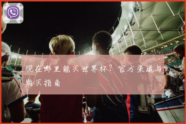 现在哪里能买世界杯？官方渠道与购买指南