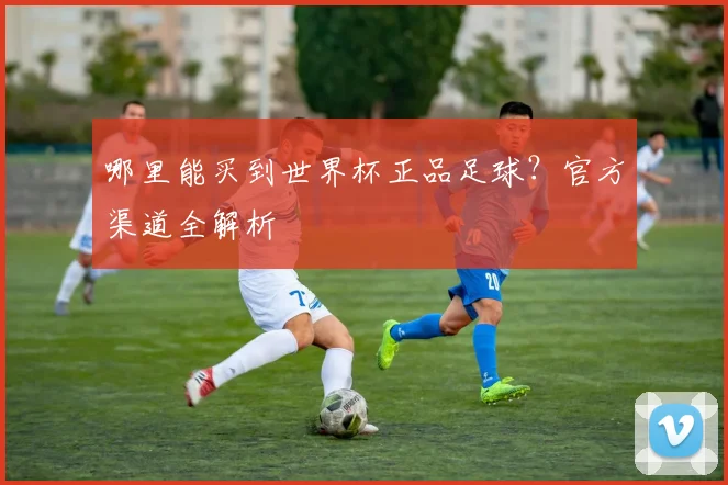 哪里能买到世界杯正品足球？官方渠道全解析
