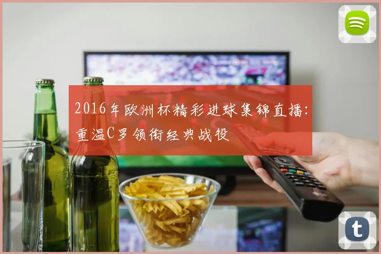 2016年欧洲杯精彩进球集锦直播：重温C罗领衔经典战役