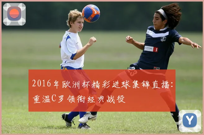 2016年欧洲杯精彩进球集锦直播：重温C罗领衔经典战役