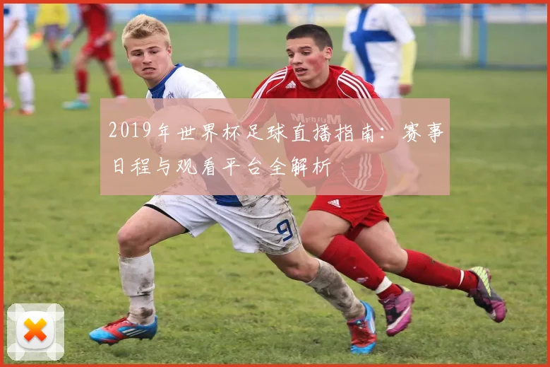 2019年世界杯足球直播指南：赛事日程与观看平台全解析